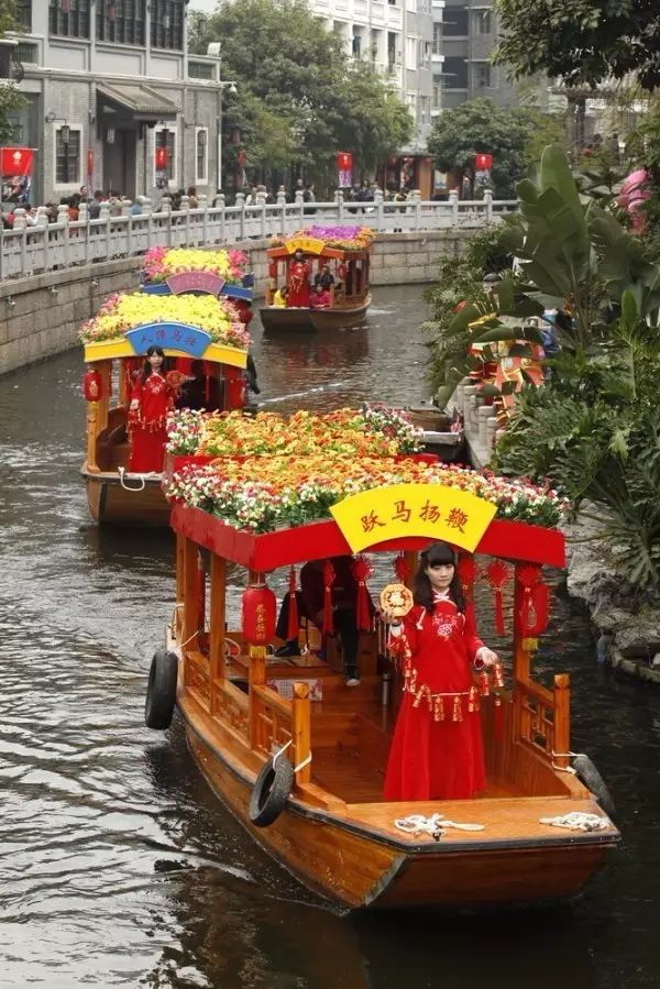 广州有迎春花吗_广州迎春花市_广州从化区迎春花市