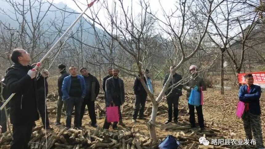 【工作动态】金池院林场为五龙洞镇贫困户送核桃管理技术服务