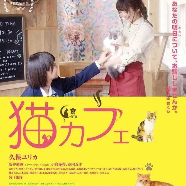 又双叒叕是撸猫的日本电影