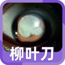 2022-04-25药事资讯