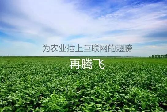 中央农业节目致富经视频_农业节目致富经_农业卫视致富项目