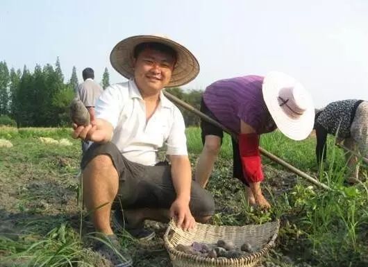 农业节目致富经_农业卫视致富项目_中央农业节目致富经视频