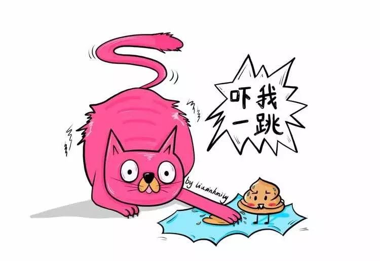 猫说:吓我一跳!| 猫咪百态番外篇