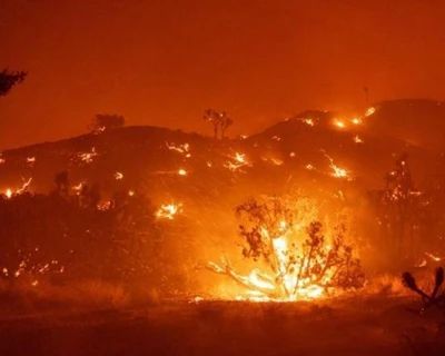 一片火海！美国加州“酒乡”遭遇大火 千亩土地被毁