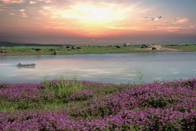 上饶    鄱阳湖国家湿地公园