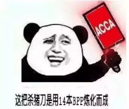 用表情包形容你的专业,acca简直没法看