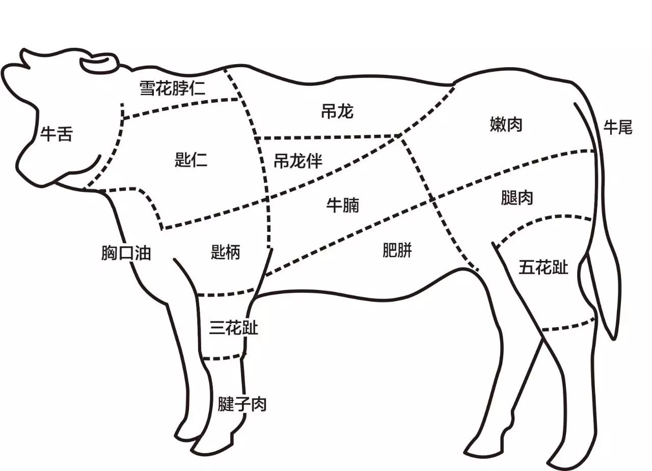 这是一条有味道的推送:牛肉怎么吃才算物尽其用