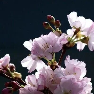 为人、处事、心境、品德