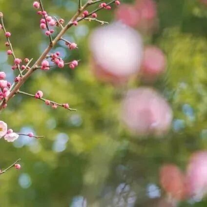 菜根谭：和气致祥，喜神多瑞