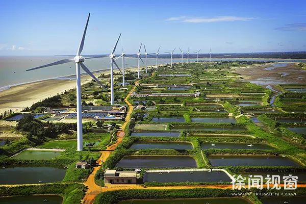 老家徐闻新寮岛