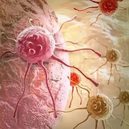 科学家惊人发现：癌细胞最怕爱