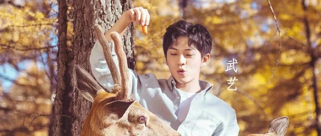 人物|从&ldquo;主持人气王&rdquo;到《亲爱的客栈》常驻MC的马思超究竟有何魅力?