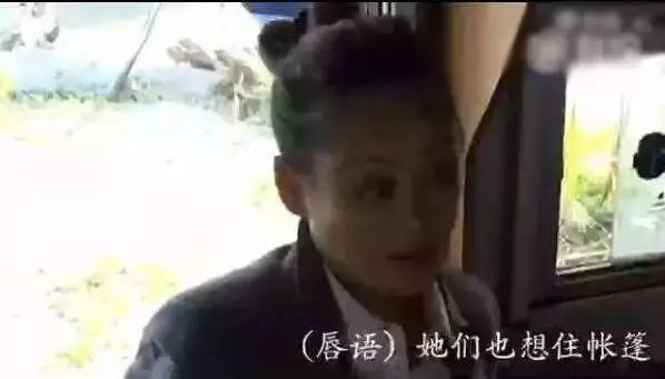 花儿与少年第五季开播出时间