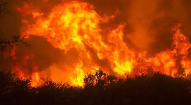 酒乡Napa惊天火灾正在蔓延,已进入紧急状态!最少十人伤亡,超2万人紧急疏散!
