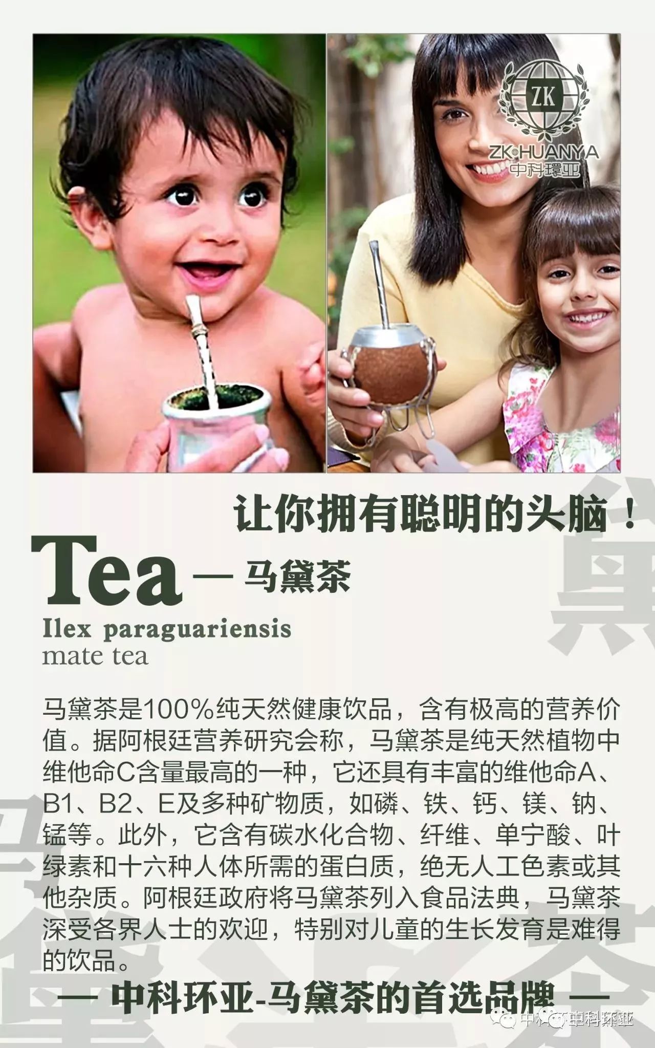 你的孩子喝马黛茶了吗?