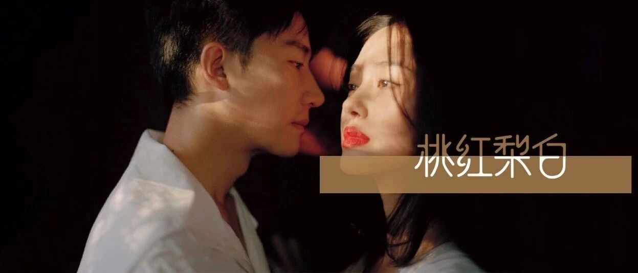 徐帆教杨采钰做人?姜还是老的辣啊