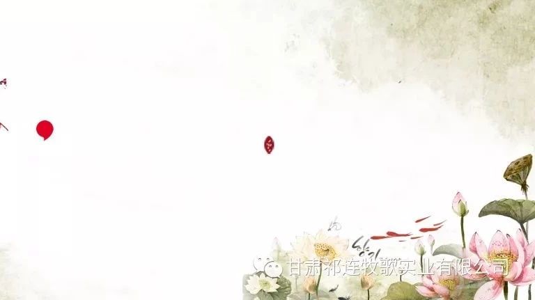 祁连牧歌悦读会—《论语》为政篇