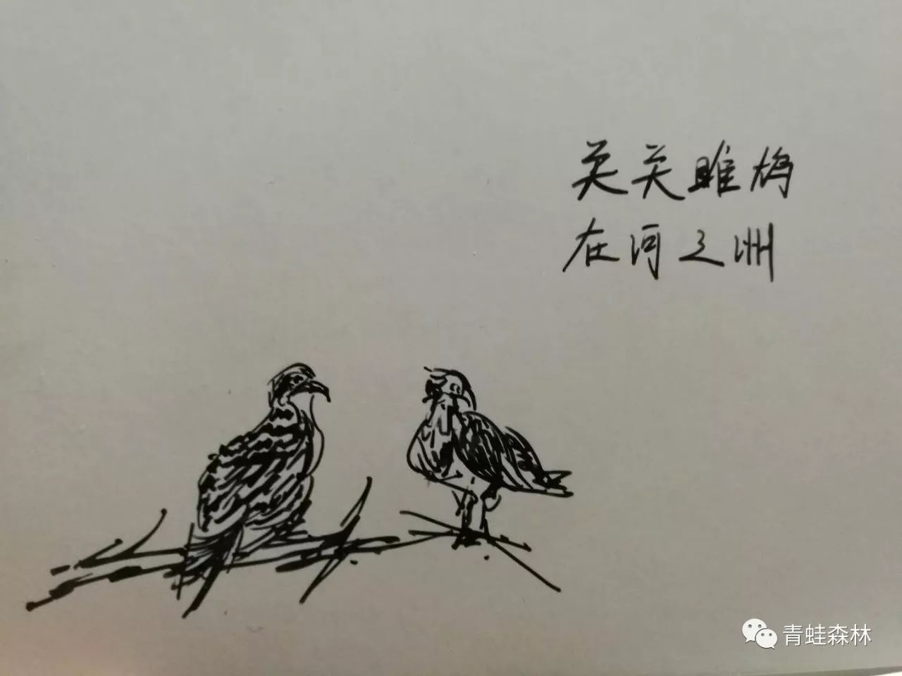 读诗经 i 关雎:有一个让人辗转的梦境