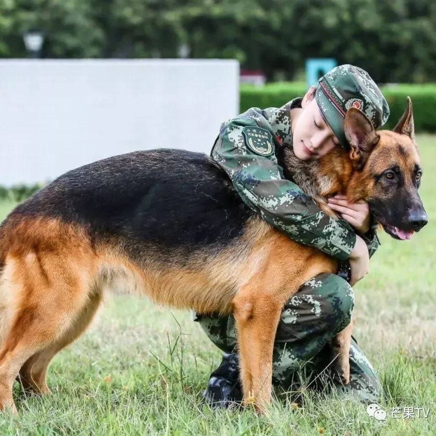 沙溢怕犬伙房拜师学艺,张馨予姜潮惨遭猎犬袭击崩溃,初入军营状况连连!