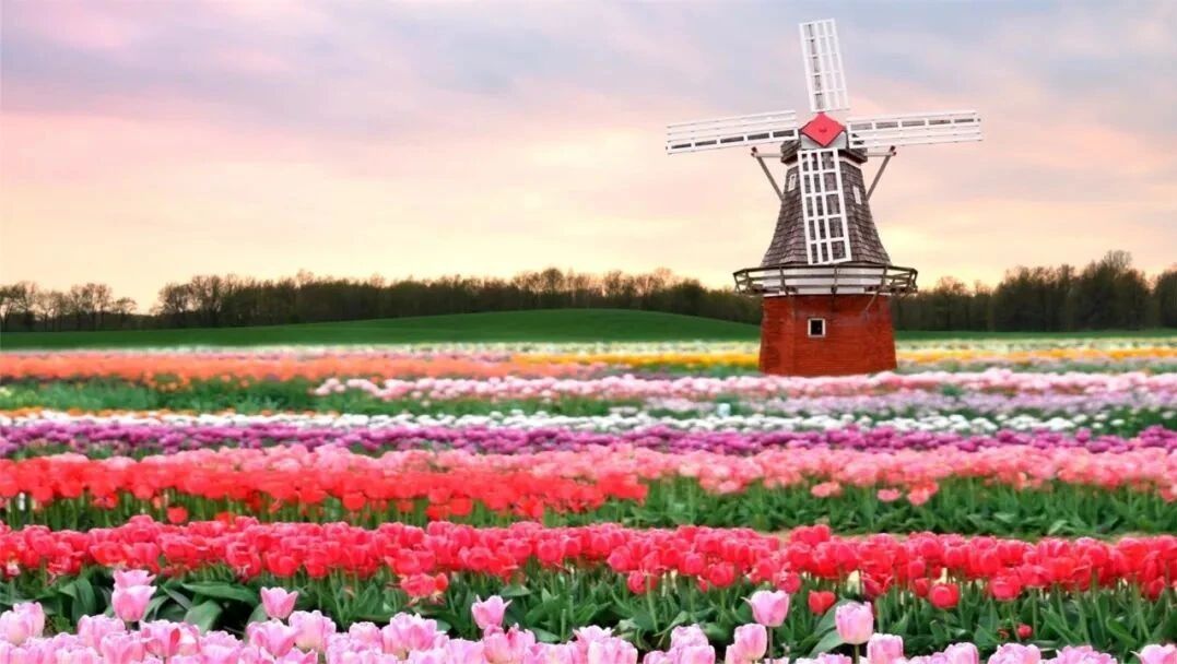 收录于合集⭐老同学，一辈子同学，三辈子亲人!