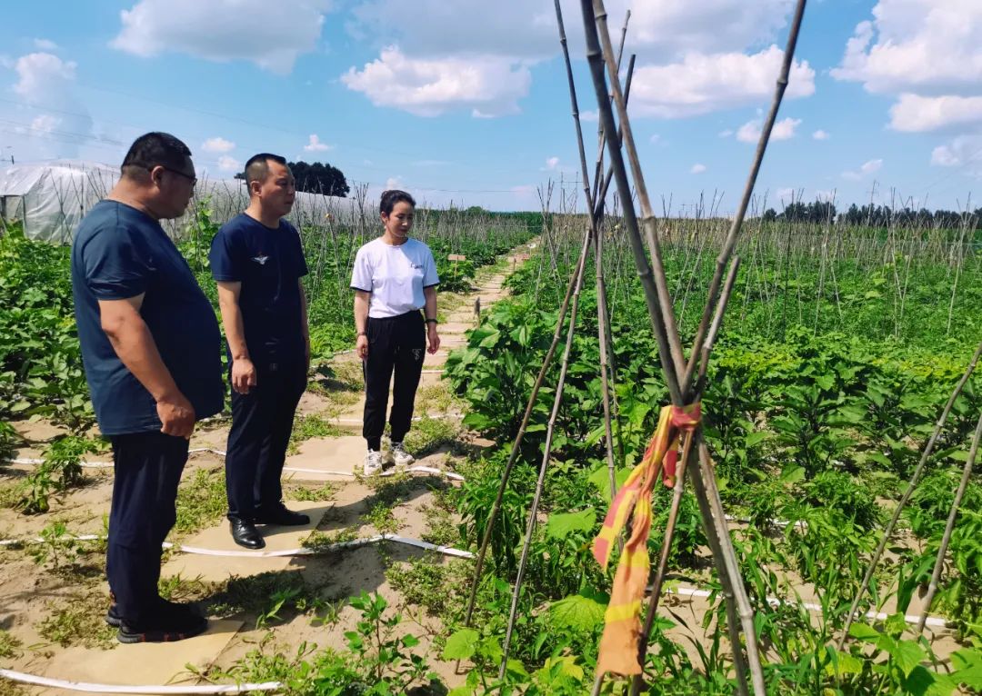 水师营满族镇衙门村党支部书记刘衍彬:下步,我们衙门村要建立一个800