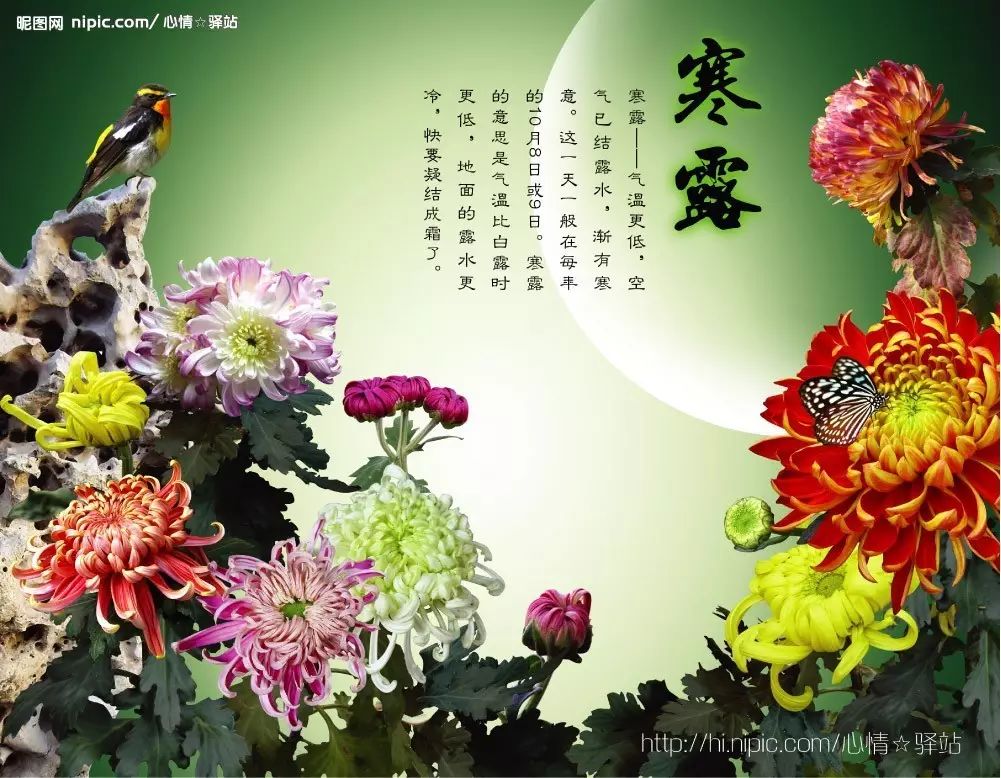 "这句谚语提醒大家:白露节气一过,穿衣服就不能再赤膊露体;寒露节气一