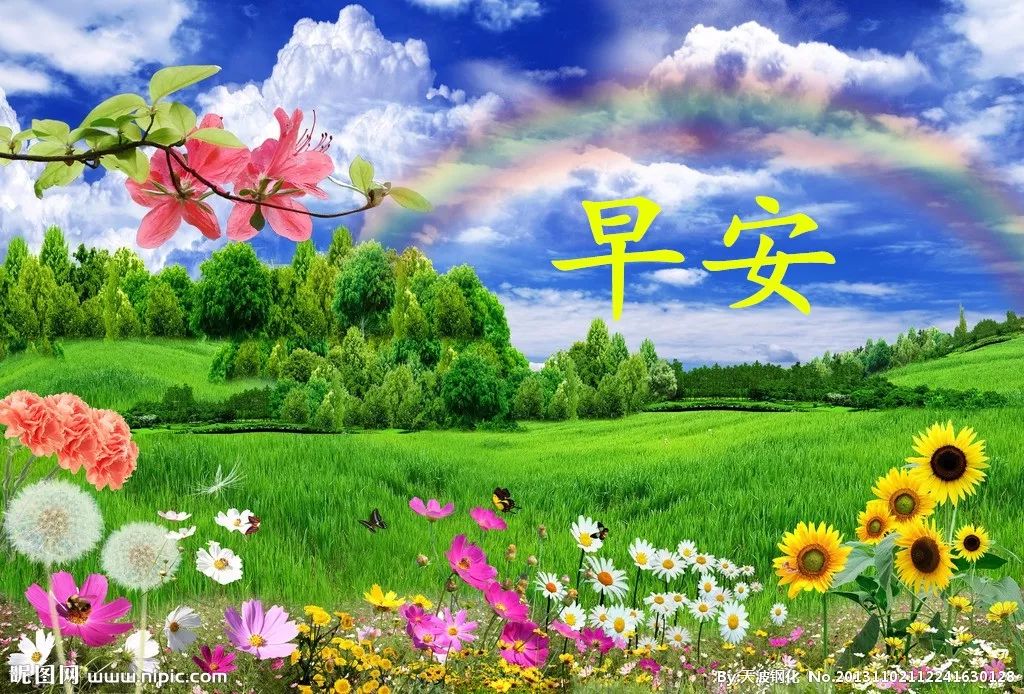当晨曦的第一缕阳光拥我入怀