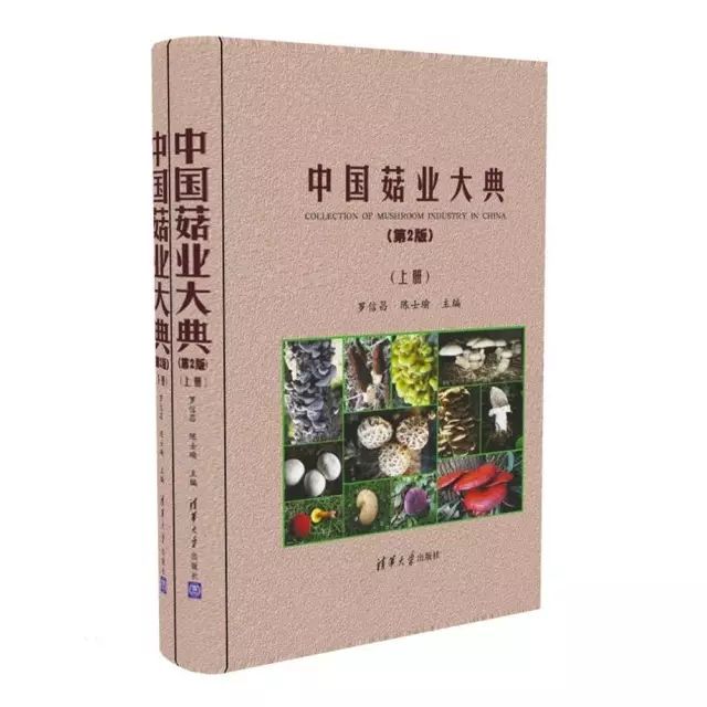 菌物文化_菌类介绍_菌类文化