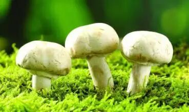 圖片關(guān)鍵詞