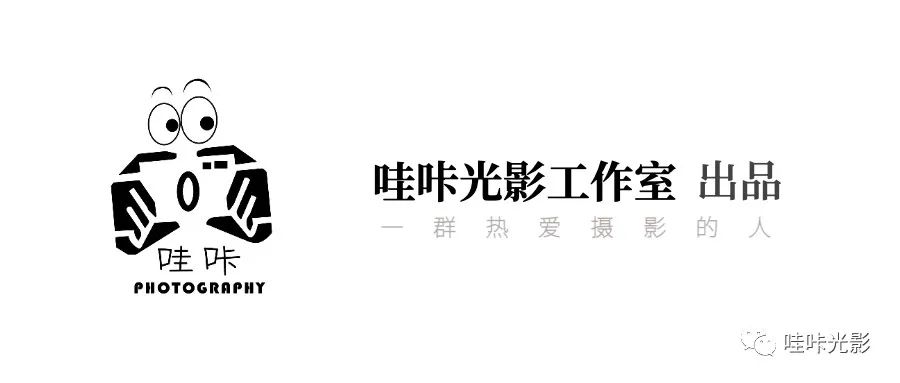 山狗运动相机分类_相机分类_相机如何分类