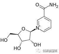 Dr. Jeffrey Flierŵ⻷¿"ٵBasis", ?