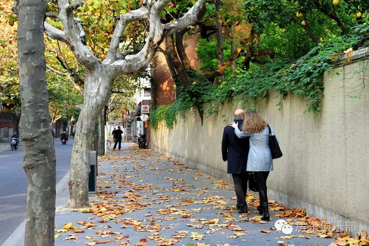 武康路上的小洋房 梧桐树,外国人很喜欢在这一带逗留