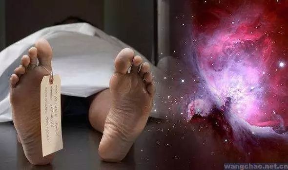 ������ѧ��������ը�Խ��ۣ��������������������������һᴩԽ��