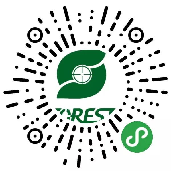 森林造纸废纸排队系统