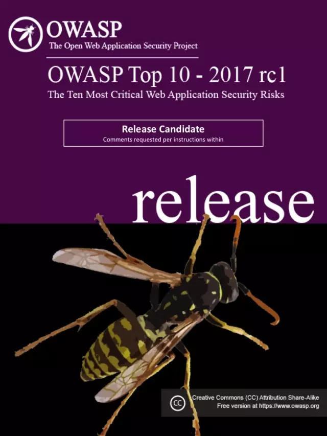 OWASP Top 10–2017