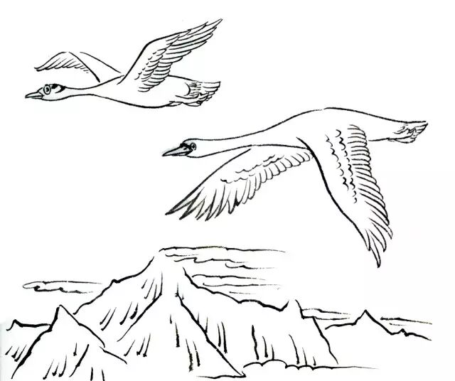 飞得最高得是什么鸟