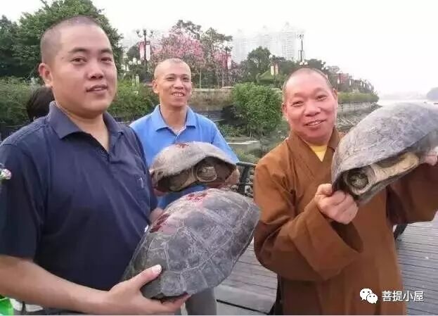 【净土法门】堕胎的恶报和怀孕为子修福!