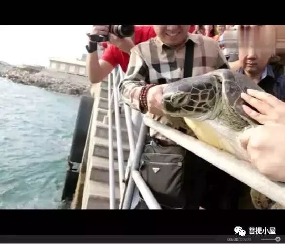 【净土法门】堕胎的恶报和怀孕为子修福!