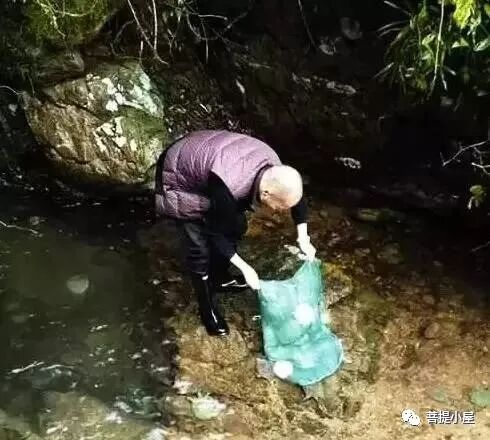 【净土法门】堕胎的恶报和怀孕为子修福!