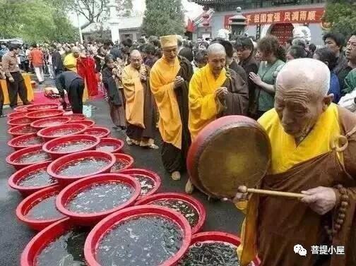 【净土法门】堕胎的恶报和怀孕为子修福!