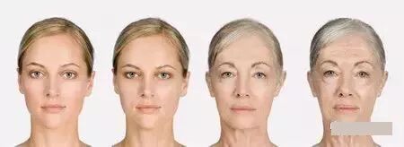 抗衰 | 人类年轻的本质就是细胞的健康！