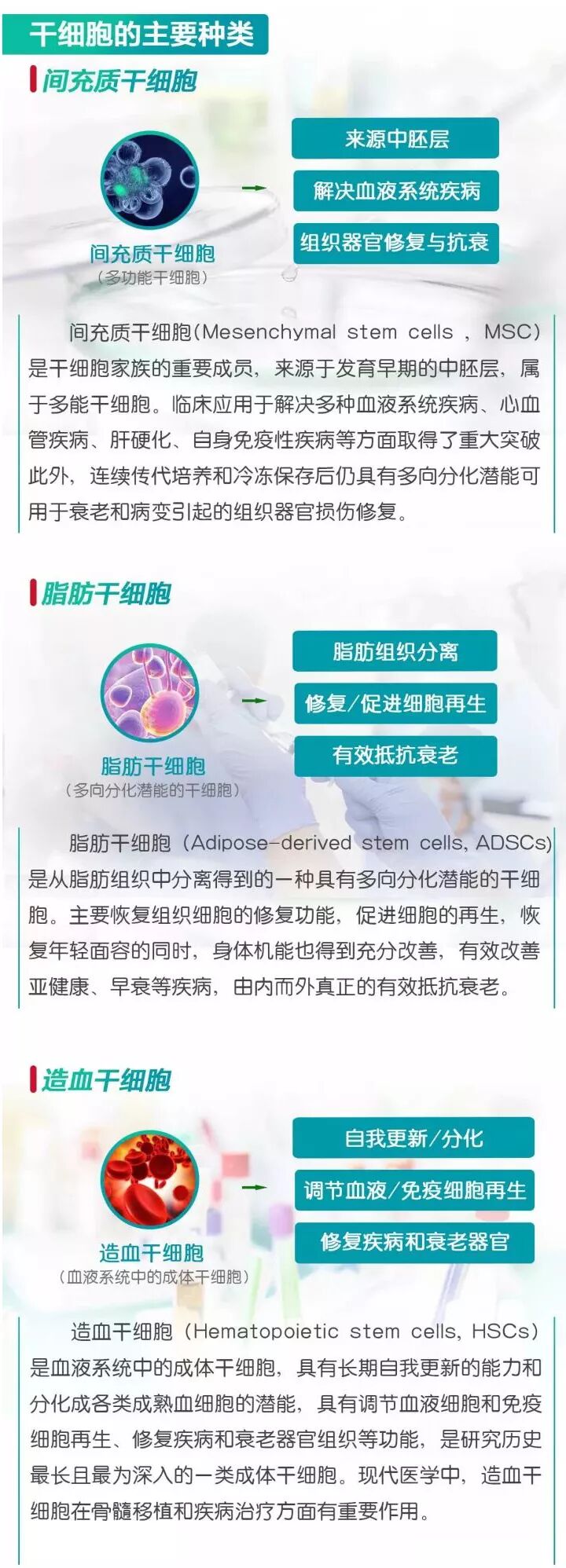 抗衰 | 干细胞正成为21世纪人类重大疾病治疗的支柱技术之一！