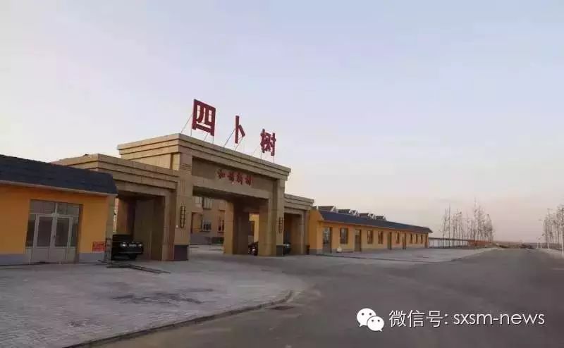 点赞丨神木四卜树村支书杜卡田:致富的领头雁 百姓的贴心人!