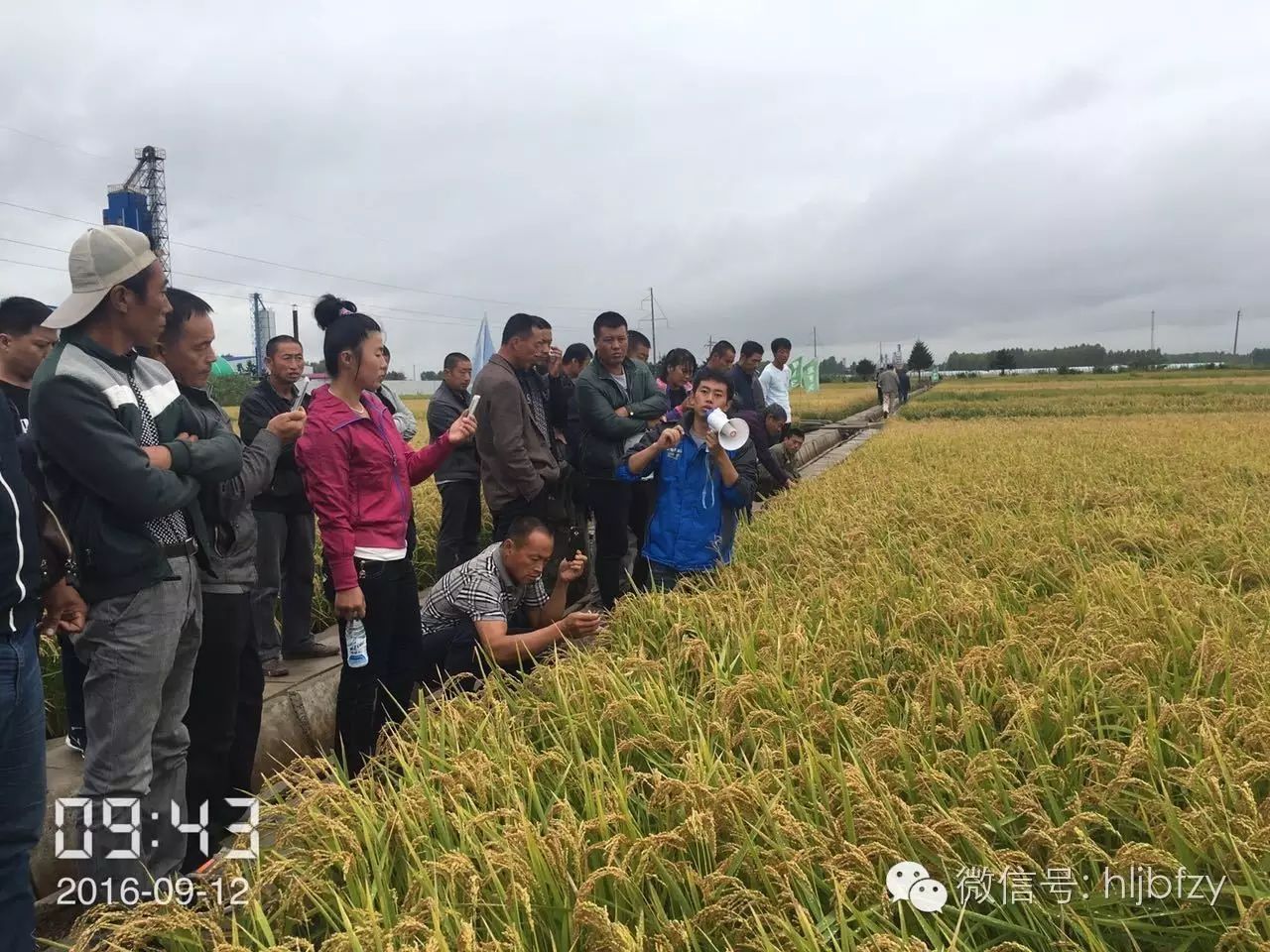 农民朋友们参观示范基地后对倍丰种业的水稻品种十分认可,现场签单