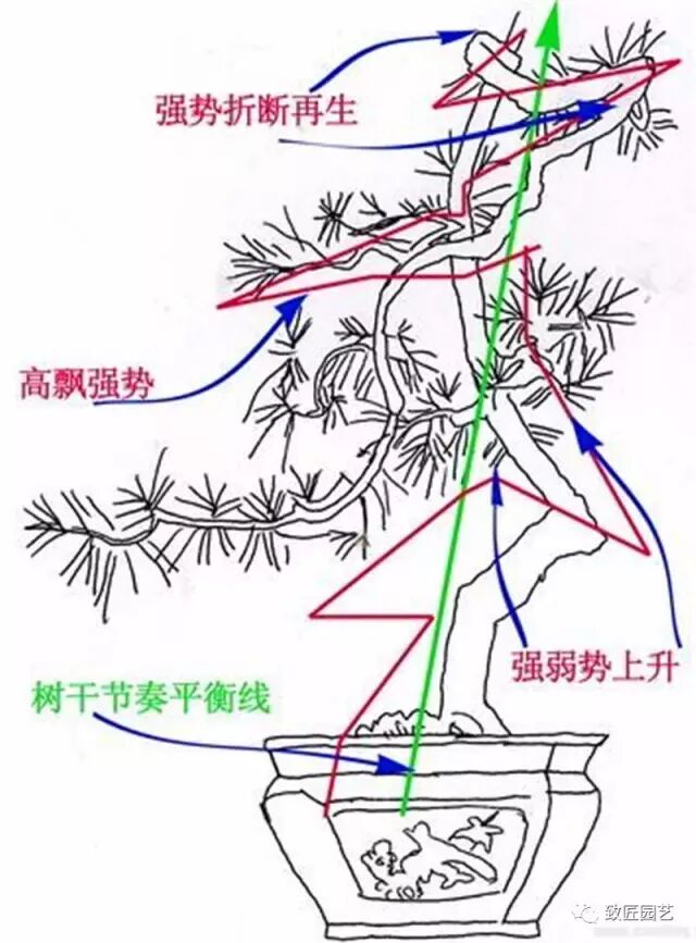图解 怎么制作悬崖盆景的方法