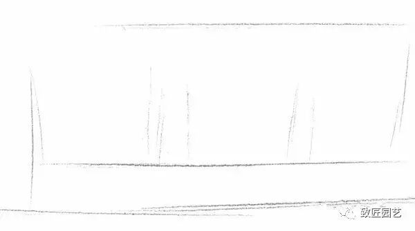 素描盆栽（盆景）的绘画教程