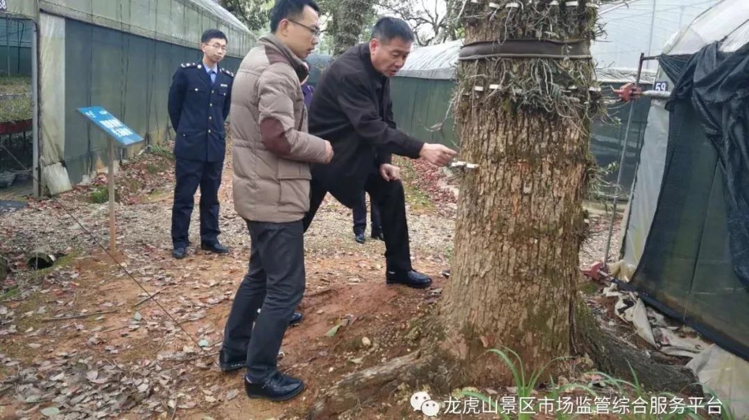 张远副局长一行到龙虎山景区指导工作