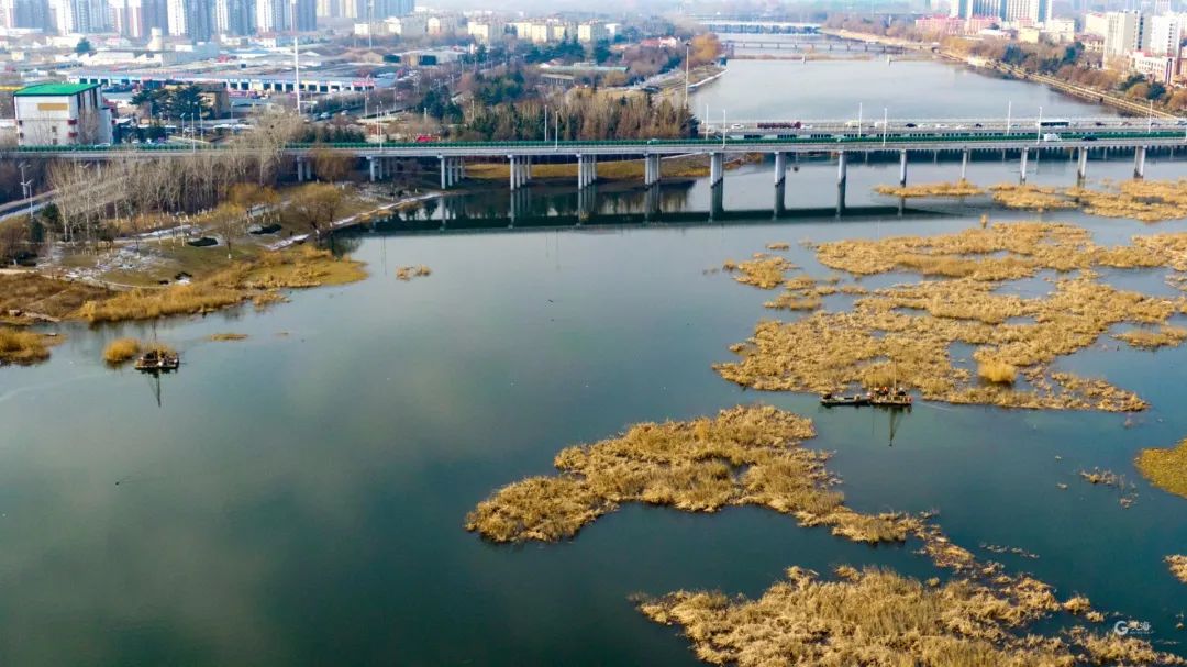 俯瞰美成油画白沙河湿地的颜值太高了