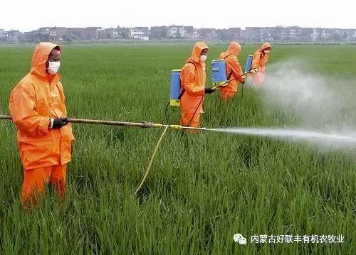 《圣贤教育 改变命运》--化肥农药和激素的世界