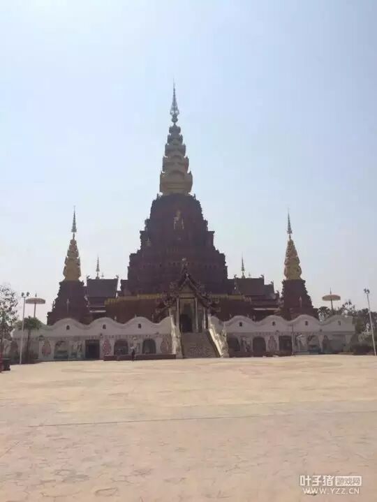 【心情】妇女节也虐狗 妹子与他成功奔现并怀孕了-怀孕期